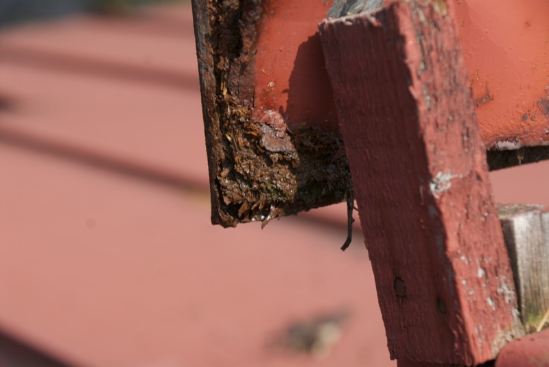 Mätä ja märkä hattu