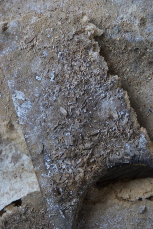 Halltex homeen kourissa